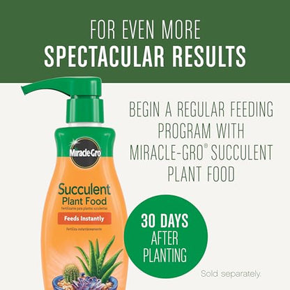Miracle-Gro Succulent Potting Mix, 4 qt. | For Indoor Succulents, Aloe Vera and More, Made with Miracle-Gro Plant Food - size: 1 Pack, style: Succulent