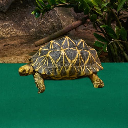 Toyvian Reptile Carpet Liner Mat Waterproof Absorbent Tortoise Box Pad 120x60cm Green Reptile Terrarium Bedding Suitable for Lizards and Turtles