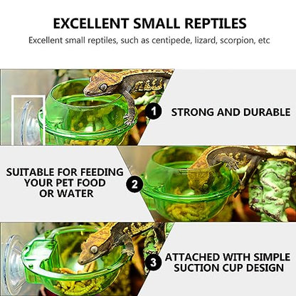 ULTECHNOVO 2sets Leopard Gecko Food Dish Pet Water Bowl with Suction Cup for Easy Feeding 4pcs*2 - color: Green 8pcs
