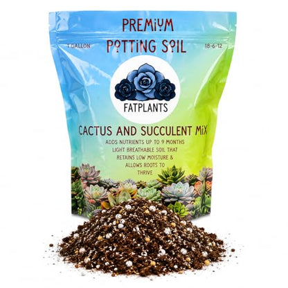 Fat Plants San Diego Premium Cacti and Succulent Potting Mix Soil - for Cactus Palm Tree Citrus Plant Grown in Gardening Containers - Indoors & Outdoors Use - with Natural Food/Fertilizer - size: Gallon