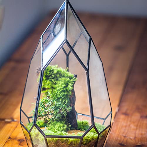 NCYP Black Glass Geometric Terrarium Container with Door - Balcony Planter DIY Display Flower Pot for Succulent Fern - Tabletop Miniature Botanical Fairy Garden (No Plants) 12.2" Height, 7.1" Width