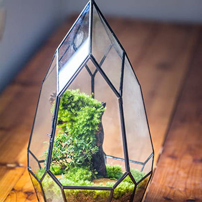 NCYP Black Glass Geometric Terrarium Container with Door - Balcony Planter DIY Display Flower Pot for Succulent Fern - Tabletop Miniature Botanical Fairy Garden (No Plants) 12.2" Height, 7.1" Width