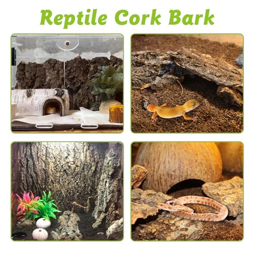 Reptile Cork Bark with Reptile Climbing Decor Thick Wood Branches Snake Habitat Decorations Terrarium Wooden Tree Trunk Ornament