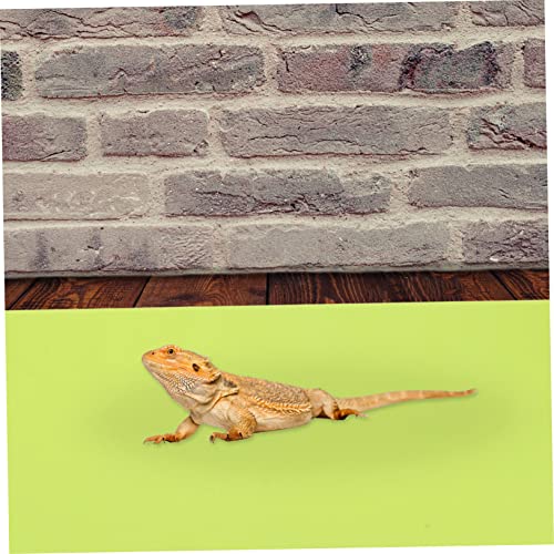 Reptile Carpet Mat for Tank and Oil Resistant Animal Washable and Terrarium Liner