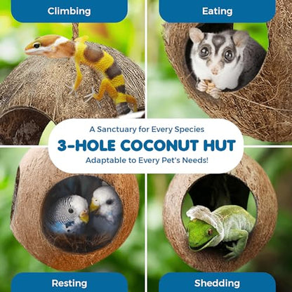 SunGrow Hermit Crab Hut Cozy Crabitat Coconut Shell with Hanging Loop and Climbing Accessory