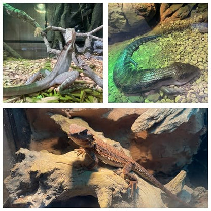 48x20x20'' Bearded Dragon Tank, 83 Gallon Reptile Terrarium, Aluminum Frame Reptile Enclosure with Lockable Sliding Glass Doors, 270° View & 304 Mesh Top