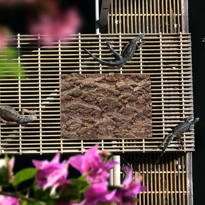 DOITOOL Natural Cork Bark Reptile Platforms for Terrarium Decor 11.81X7.87X1.57In Climbing and Resting Accessories for Lizards Turtles Spiders and Small Pets