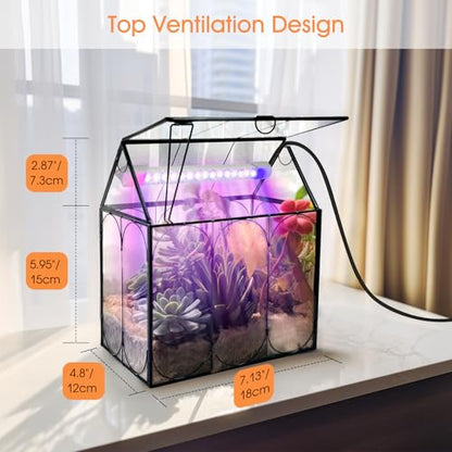 Plant Terrarium Kit with Grow Light, Rifny Small Glass Terrarium Jar with Absorbent Mat and Lid for Venus Fly Trap Succulent Live Air Plants Indoor Home Office Decor (Black, 7.1 x 4.8 x 8.8 inch) - size: Black-Small with Plant Light