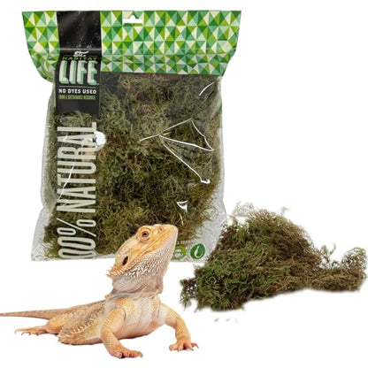 The Habitat Life - Natural Deco Moss - for Reptiles, Amphibians & Invertebrates Terrariums - Humidity Control - Natural Look & Feel - Soft Surface - Dye-Free & Safe - Medium - 1 Pack - size: Medium, style: Deco Moss