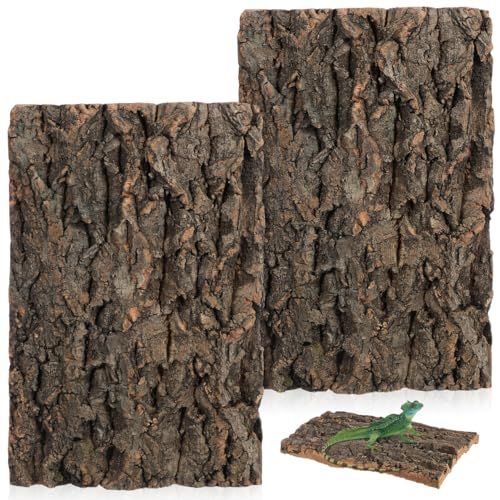 Kisangel 2Pcs Natural Cork Bark Fish Tank Decoration 11.81X7.87X0.39In Reptile Cork Bark Climbing Decor Aquarium Ornaments for Bearded Dragon Lizard Turtle Habitat