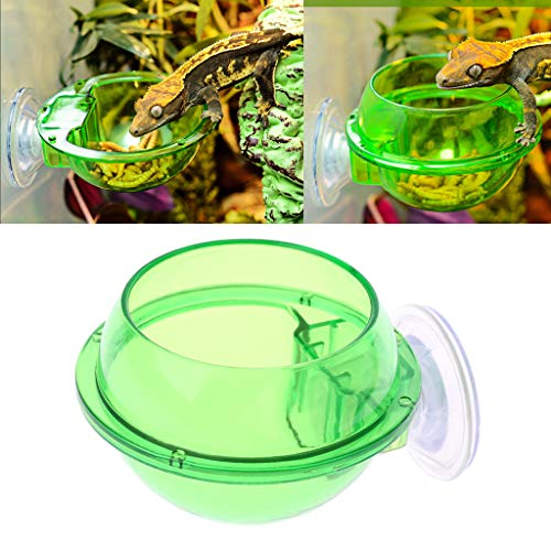 Suction Cup Reptiles Feeder Bowl Anti-Escape Food Bowl Drinker Bowl for Tortoise Iguana