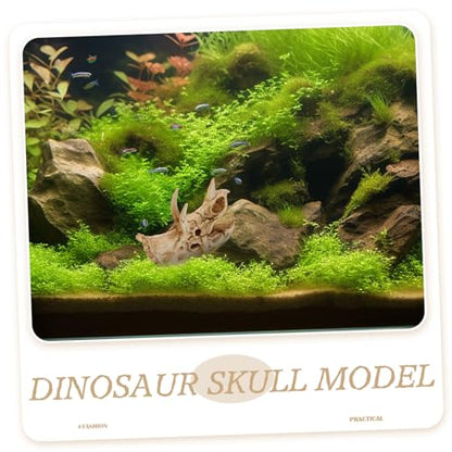 Dinosaur Skull Aquarium Decoration Resin Fish Tank Hideout for Reptiles Turtles and Aquatic Pets Unique Habitat Ornament for Decor