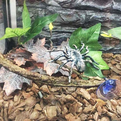 INOOMP Reptile Climbing Vines with Suction Cups, Flexible Artificial Jungle Vines, 2pcs Decorative Rattan Branches for Lizard Tank Habitat and Gecko Terrarium