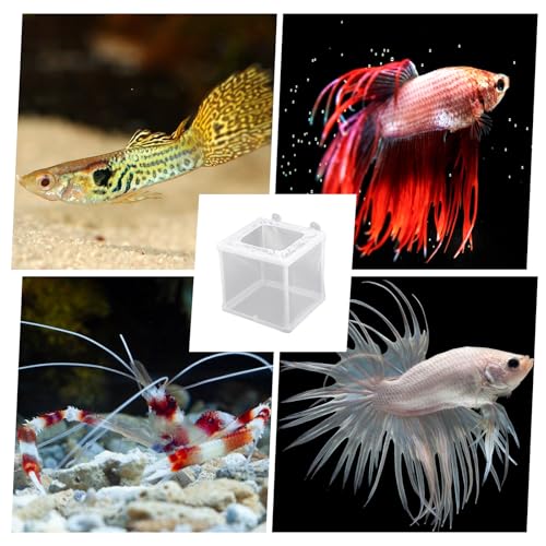 2 Pack Fish Incubator Mesh Box Aquarium, 6.3" x 5.51" x 5.91" Breeder Box for Fish Tank White Nylon Mesh Fishes Breeder Boxes for Aquarium Juvenile Fishes Separation Net Fry Hatchery with Suction Cups