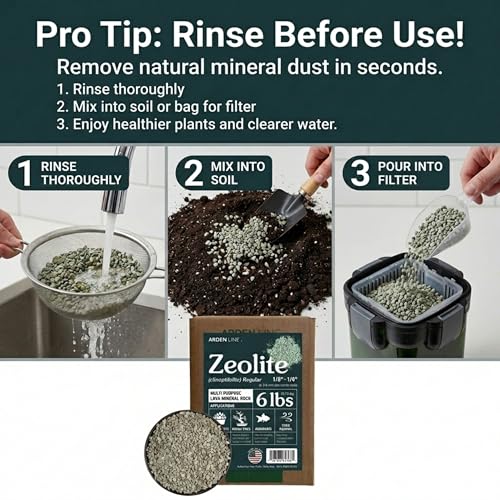 Zeolite Regular 6 lbs, Clinoptilolite 1/8"–1/4" (3–6 mm), Soil Amendment for Succulents, Bonsai & Plants, Improves Drainage and Moisture Balance, Decorative and Aquarium Use - style: Regular - 6 lbs