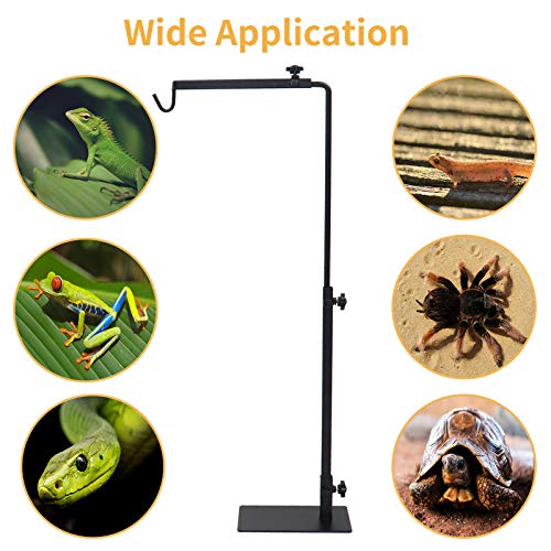 Reptile Lamp Stand, Landing Lamp Stand Bracket with Base, Adjustable Floor Light Holder, Durable Metal Lamp Support for Lizards, Turtles, Snakes, Spiders, Amphibians and Other Cold-Blooded Animals (M)