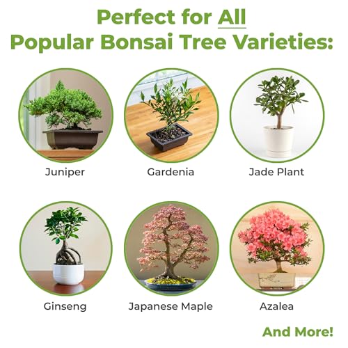 Bonsai Soil by Perfect Plants - 2qts. | Premium All-Purpose Mix Bonsai Tree Varieties - size: 2qts.