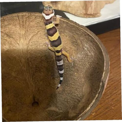2-Pack Coconut Shell Reptile Hideout 4.72In Natural Coir Pet Shelter for Gecko Lizard Hermit Crab Terrarium Safe Habitat