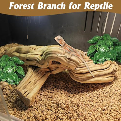 VCEPJH Snake Climbing Branch, 2Pcs Reptile Wood Natural Cork Log and Large Snake Climbing Branch Decor 15.5 in Natural for Chameleon Gecko Ball Python Frog