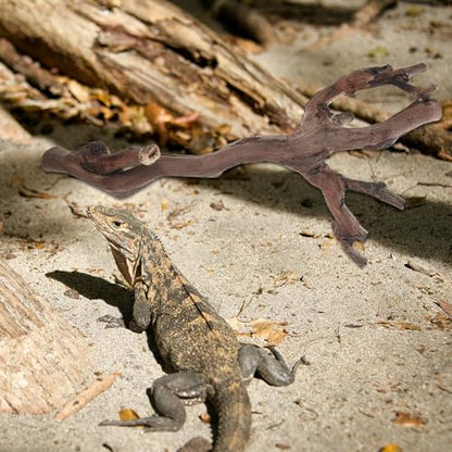 Kisangel 2pcs Snake Climbing Branch, Reptile Tank Natural Wood Cork Log, Reptile Basking Branch for Lizard, Frog, Gecko Terrarium Accessories
