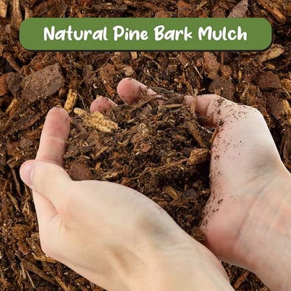 Soil Sunrise 100% Natural Pine Bark Mulch Nuggets (12 Quarts) Small Chips for Indoor/Outdoor Container Gardening, Ideal for Soil Supplement, Houseplant Topper, and Terrariums - size: 12 Quarts