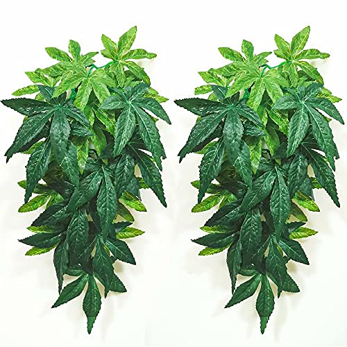 Nobranded Reptile Plants,2 Pieces Hanging Silk Terrarium Plant with Suction Cup for Bearded Dragons Lizards Geckos Snake Pets Tank Habitat Decorations for Reptile Terrariums Pet Supply (Green) - color: Green