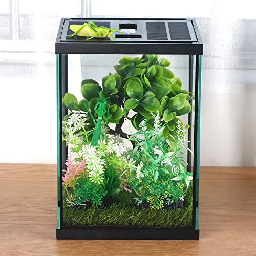 Vertical Glass Terrarium for Mantis, 7.8 x 7.8 x 10.8 in | 2.84 US Gal Glass Insect Habitat Kit for Tarantula Sling, Snail and Small Insects, Animals Not Included
