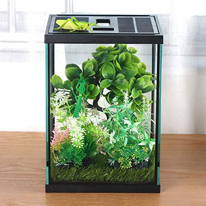 Vertical Glass Terrarium for Mantis, 7.8 x 7.8 x 10.8 in | 2.84 US Gal Glass Insect Habitat Kit for Tarantula Sling, Snail and Small Insects, Animals Not Included