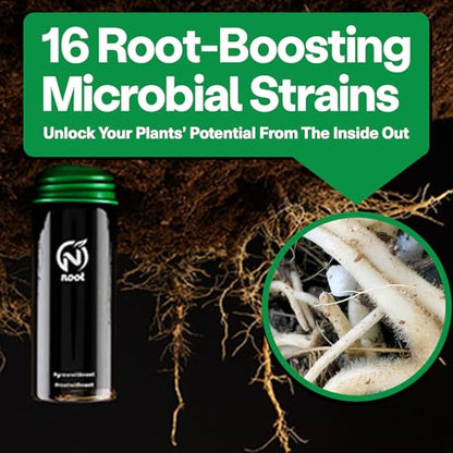 Noot Bio-Organic Plant Food Liquid Fertilizer - Makes 7 Gallons - Root Boosting Mycorrhizae - Fast Growth for Monstera, Aroid, Succulent, Orchid, Calathea, Philodendron - Use Every Watering (2 Vials) - size: Noot Plant Food (Makes 7 Gallons)