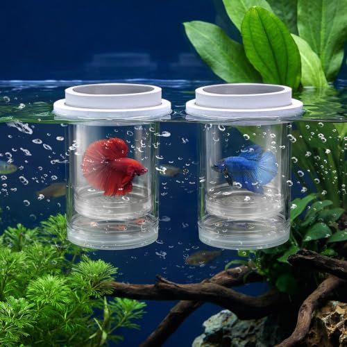 Breeder Box for Fish Tank, 2 Pieces, Floating | Plastic Aquarium Isolation Box, Mesh Fish Nursery Separator Tank Hatchery Incubator for Shrimp, Betta, Clownfish, Guppy