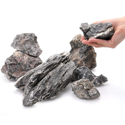Eorbow 12lb Seiryu Stone, Aquarium Rocks for Terrariums, Paludarium, Vivariums, Reptile, Amphibian Enclosures, Fish Tank Decor for Aquarium Landscaping Models
