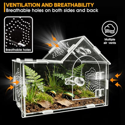 Acrylic Jumping Spider Enclosure with Magnetic Lock – Clear Ventilated Terrarium Box for Tarantulas, Geckos, Mantises, Hermit Crabs, Snails, and Other Small Pets (7.9 x 4 x 6 Inch)
