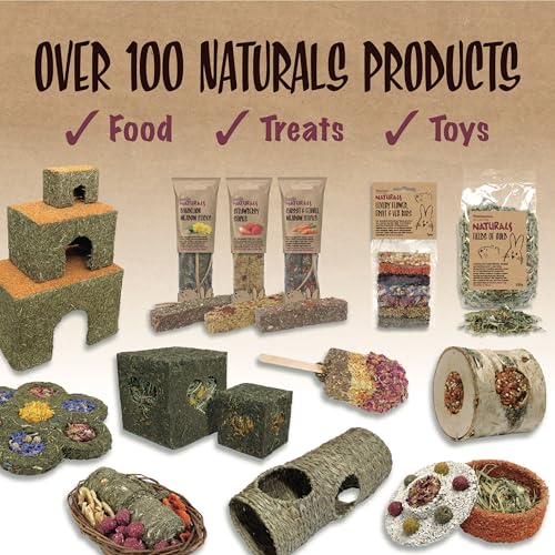 Rosewood Pet 1 Pouch Herbal Garden Food For Small Animals, 100G
