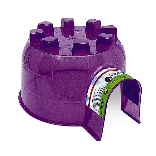 Kaytee Igloo Habitat Hideout For Pet Guinea Pigs, Ferrets, Dwarf Rabbits, Chinchillas, and Other Small Animals, Assorted colors, Large - size: Large