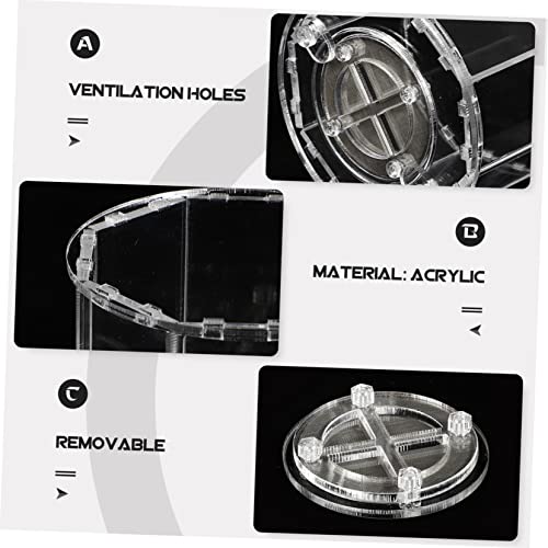 Transparent Acrylic Breeding Box for Reptiles and Pets Compact Display Case for Lizards Insects and Spiders Lightweight Easy to Use Habitat Holder