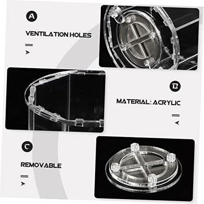 Transparent Acrylic Breeding Box for Reptiles and Pets Compact Display Case for Lizards Insects and Spiders Lightweight Easy to Use Habitat Holder