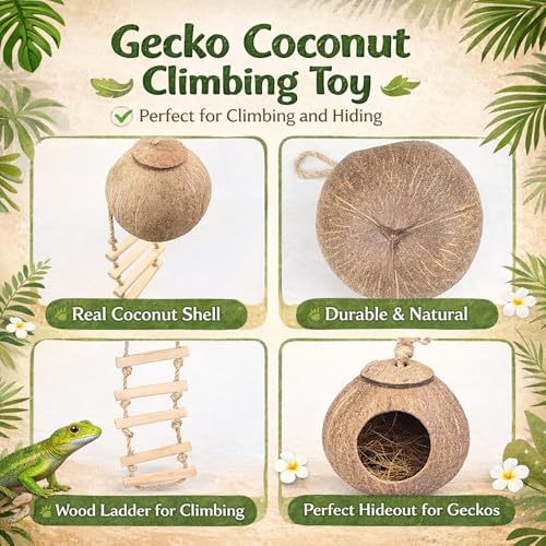 HERCOCCI Crested Gecko Tank Accessories, Reptile Hanging Plants Vines with Natural Coconut Shell Hideout & Climbing Ladder Decor for Hermit Crab Lizard Leopard Gecko Chameleon Snake Terrarium Decor