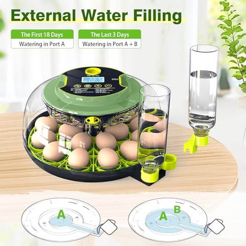 18 Chicken Egg Incubator with Temperature Control, Humidity Display, Auto Egg Turner, Egg Candler, 2 Size Egg Trays, Chick Incubaotrs for Hatching Eggs Digital Incubator for Chicken, Duck Eggs - style: 18 Eggs