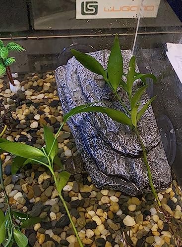 YZHZOM Turtle Basking Platform with Suction Cups, Floating Resting Terrace for Frogs, Terrapins and Tortoises