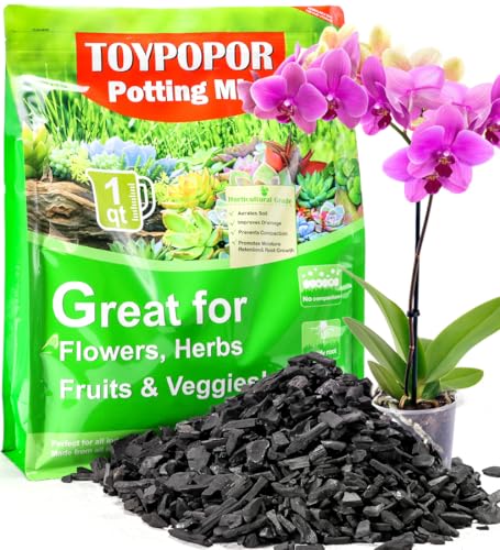 TOYPOPOR Horticultural Charcoal for Indoor Plants Hardwood Potting Soil Amendment Helps Improve Drainage for Orchids, Succulent, Cactus, Terrariums, and Gardening 1Quart - color: Charcoal, size: 1 qt