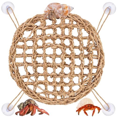 Hermit Crab Climbing Toys,Lizard Seagrass Mat,Hermit Crab Hammock with Suction Cups,Hermit Crab Supplies Decor Habitat,Small Reptile Tank Accessories for Guinea Pigs Hamsters Geckos (Circle) - size: Circle