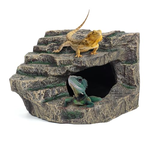 Beared Dragon Tank Accessories for Adults, Snake Hide, Reptile Tank Accessories, Perfect Natural Large Reptile Hide, Professional Turtle Basking Platform (E-Large) - color: XL-Smooth ledge, size: Extra Large