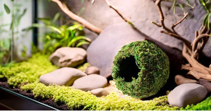 Galápagos (05348) Mossy Cave Hide, 6", Green Sphagnum - size: 6"