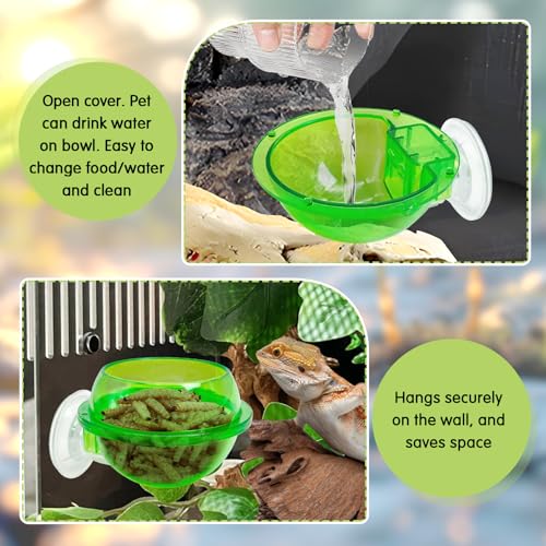 2 Pcs Chameleon Bowl (2.1" D*2.3" H) &3 Pack Bearded Dragon Hammock (11" L*8" W)