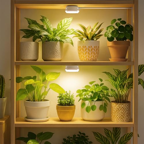 7W Grow Light for Indoor Plants, Full Spectrum Plant Light with Auto Timer (3/6/12H) & 4-Level Dimming, Small Led Grow Light for Seedlings, Succulents, Herbs - size: 1-Head