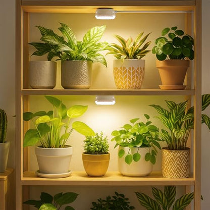 7W Grow Light for Indoor Plants, Full Spectrum Plant Light with Auto Timer (3/6/12H) & 4-Level Dimming, Small Led Grow Light for Seedlings, Succulents, Herbs - size: 1-Head