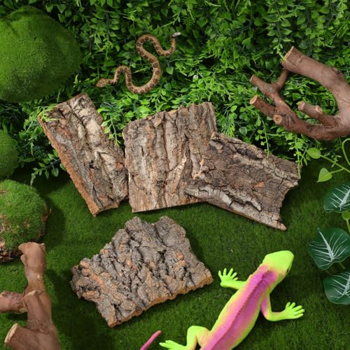 CLISPEED 4Pcs Reptile Bark Climbing Platform Natural Wood Terrarium Decor Reptile Hide Accessories for Snakes Lizards Small Pets Habitat