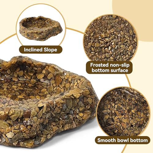 Water Dish for Amphibians，Reptile Food and Water Rock Bowls，Terrarium Decor for Reptiles and Other Little Critters，Terrarium Bowls Small Size