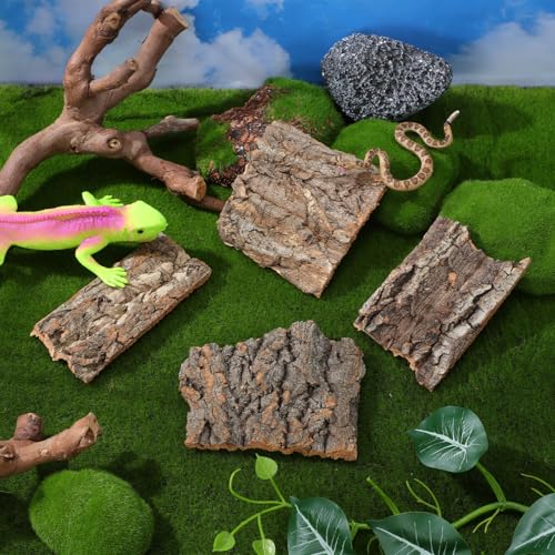 CLISPEED 4Pcs Reptile Bark Climbing Platform Natural Wood Terrarium Decor Reptile Hide Accessories for Snakes Lizards Small Pets Habitat
