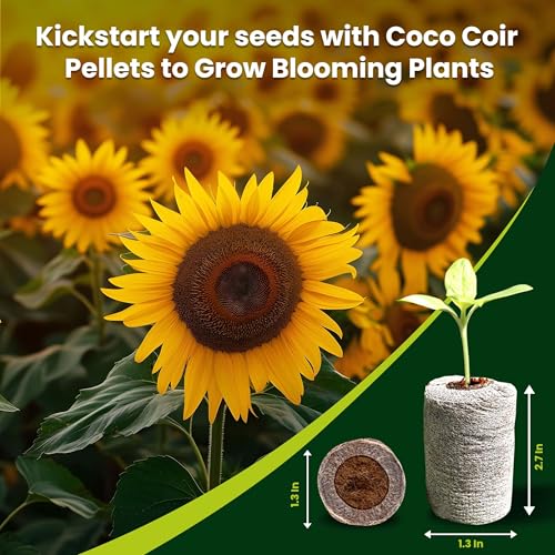 Gro-Med Organic Coco Coir Seed Starter Pellets NPK Enriched 100 Pcs, 35mm Perfect to Grow Herbs, Vegetables, Flowers Seedling, Compressed Coconut Coir Soil Plugs for Seed Germination - OMRI - size: 100 Pack - NPK Enriched Seed Starter Pellets